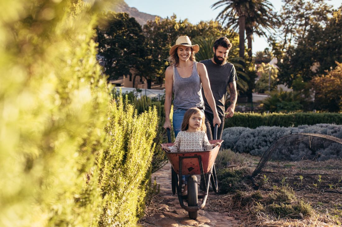 Thinking of a tree change? You might find more affordable homes